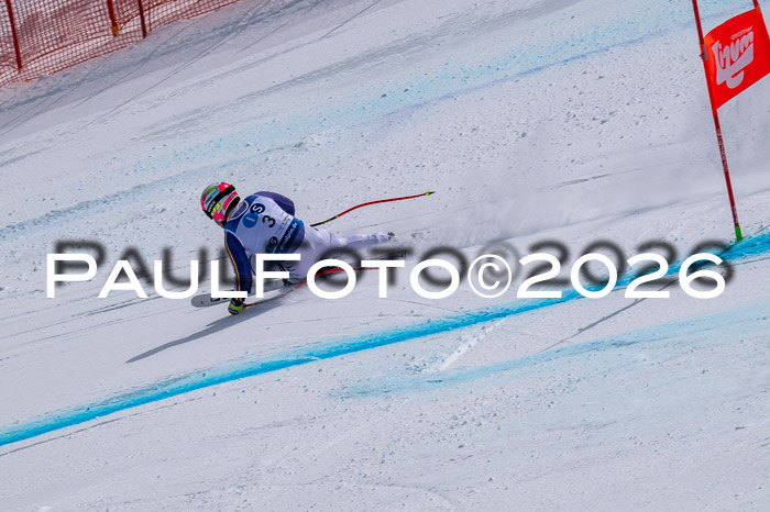 NC DH Training Damen + Herren Axamer Lizum 24.03.2026