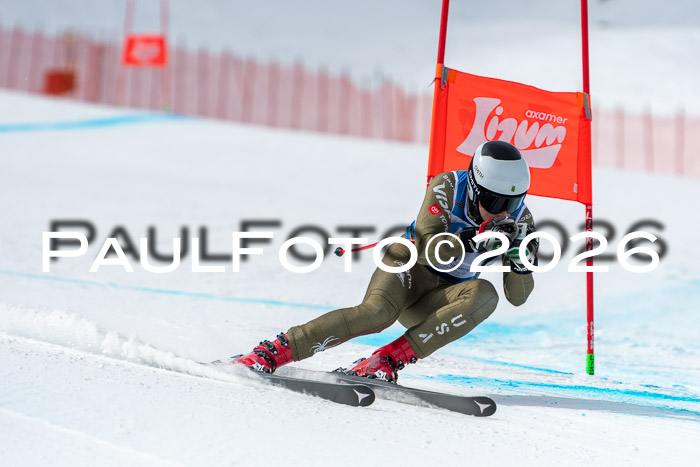 NC DH Training Damen + Herren Axamer Lizum 24.03.2026