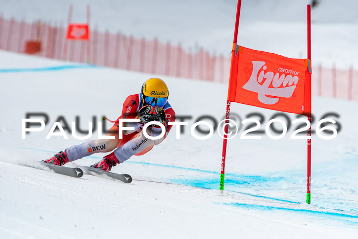 NC DH Training Damen + Herren Axamer Lizum 24.03.2026