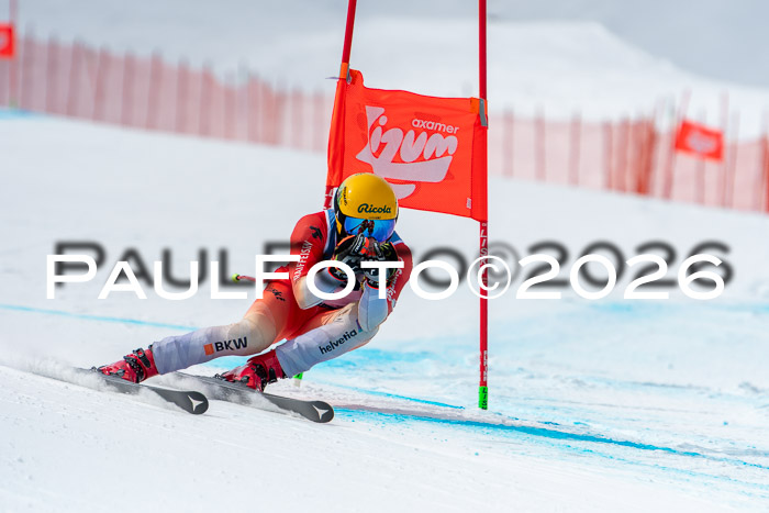 NC DH Training Damen + Herren Axamer Lizum 24.03.2026