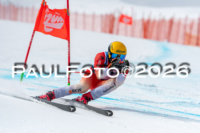 NC DH Training Damen + Herren Axamer Lizum 24.03.2026