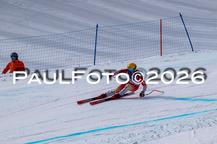 NC DH Training Damen + Herren Axamer Lizum 24.03.2026