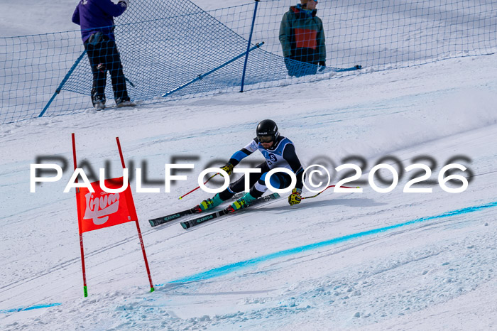 NC DH Training Damen + Herren Axamer Lizum 24.03.2026