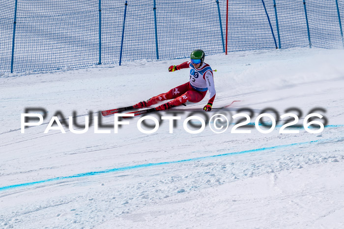 NC DH Training Damen + Herren Axamer Lizum 24.03.2026