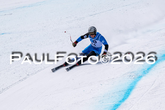 NC DH Training Damen + Herren Axamer Lizum 24.03.2026