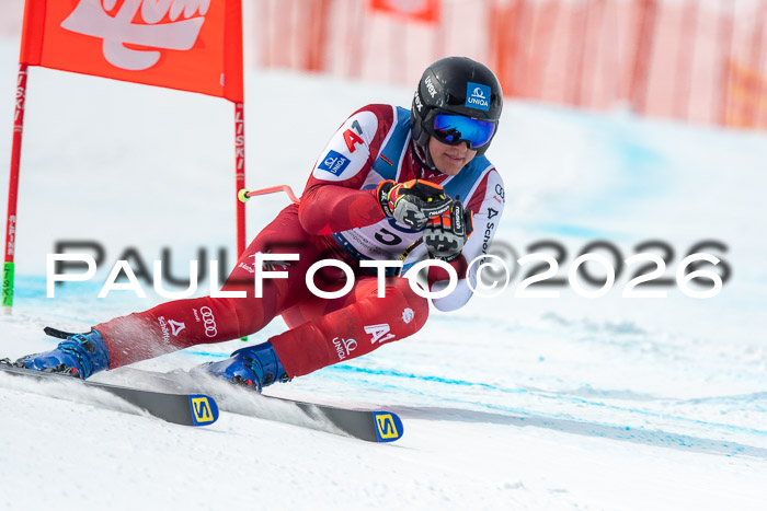 NC DH Training Damen + Herren Axamer Lizum 24.03.2026