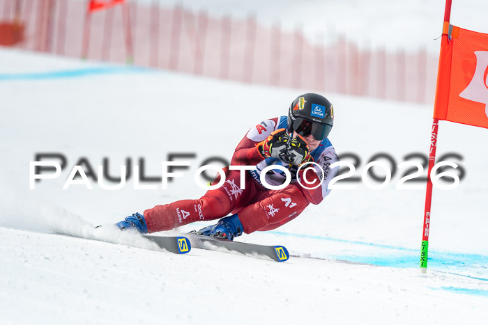 NC DH Training Damen + Herren Axamer Lizum 24.03.2026