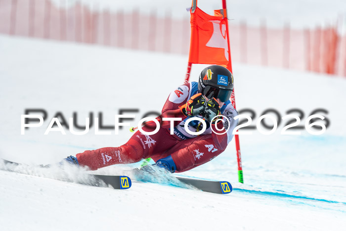 NC DH Training Damen + Herren Axamer Lizum 24.03.2026