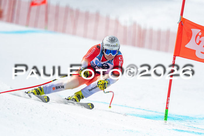 NC DH Training Damen + Herren Axamer Lizum 24.03.2026