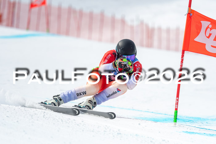 NC DH Training Damen + Herren Axamer Lizum 24.03.2026