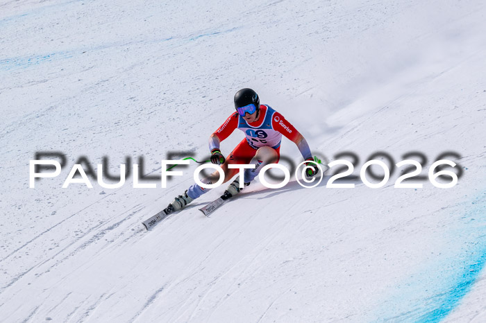 NC DH Training Damen + Herren Axamer Lizum 24.03.2026