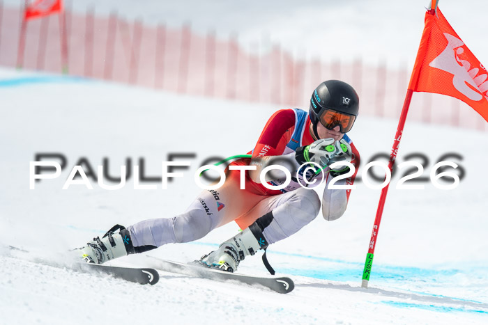 NC DH Training Damen + Herren Axamer Lizum 24.03.2026