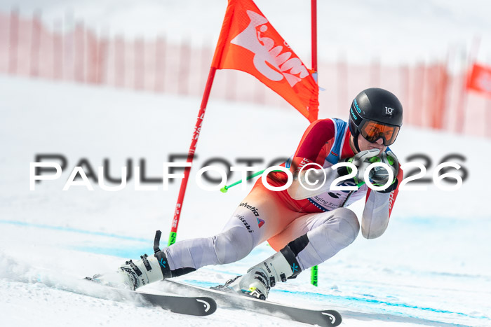 NC DH Training Damen + Herren Axamer Lizum 24.03.2026