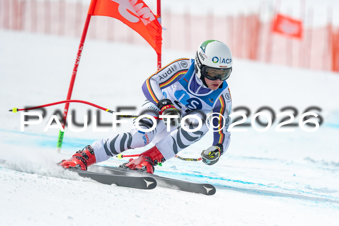 NC DH Training Damen + Herren Axamer Lizum 24.03.2026