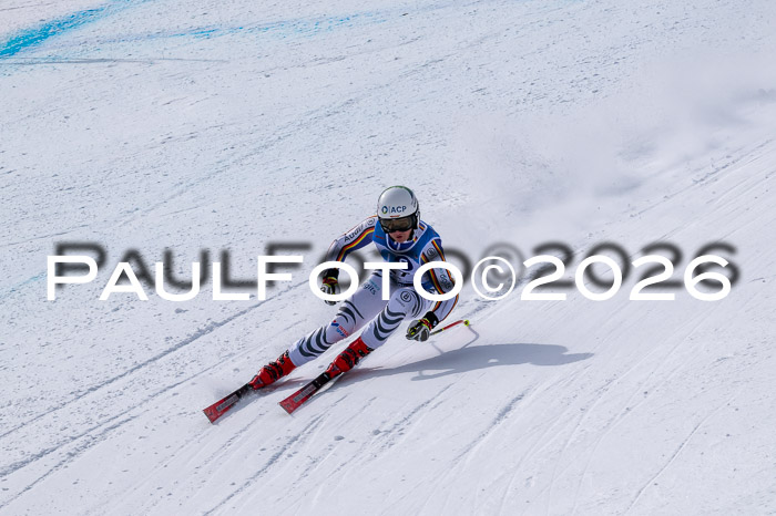 NC DH Training Damen + Herren Axamer Lizum 24.03.2026