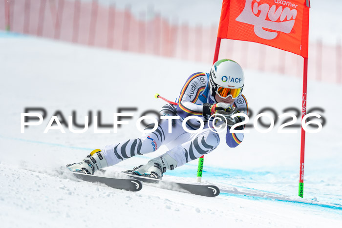 NC DH Training Damen + Herren Axamer Lizum 24.03.2026