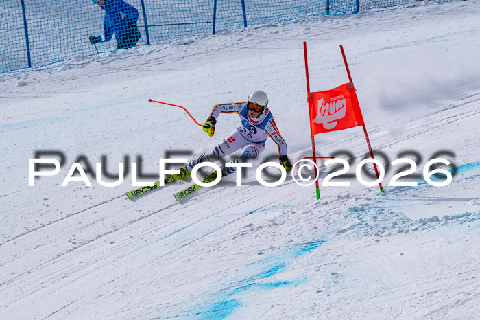 NC DH Training Damen + Herren Axamer Lizum 24.03.2026