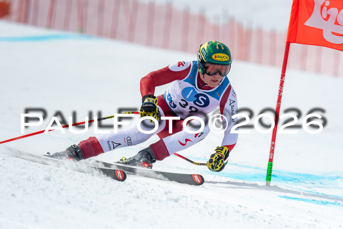 NC DH Training Damen + Herren Axamer Lizum 24.03.2026