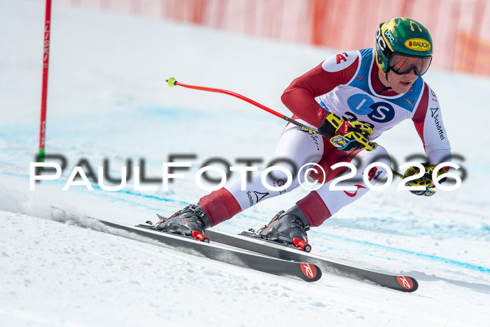 NC DH Training Damen + Herren Axamer Lizum 24.03.2026