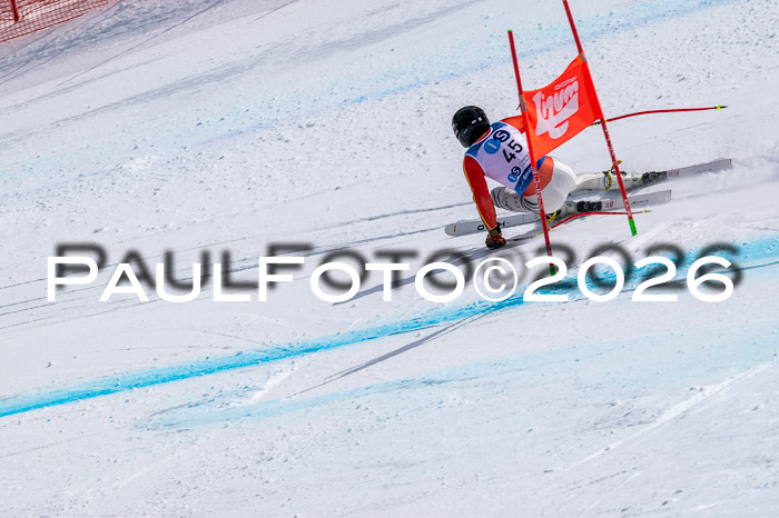 NC DH Training Damen + Herren Axamer Lizum 24.03.2026