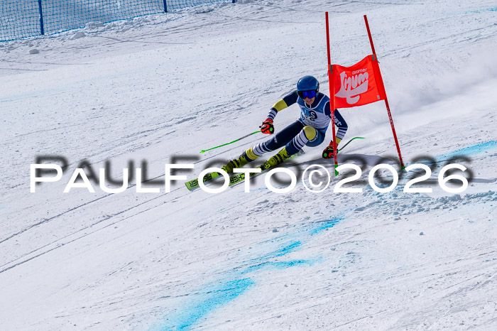 NC DH Training Damen + Herren Axamer Lizum 24.03.2026