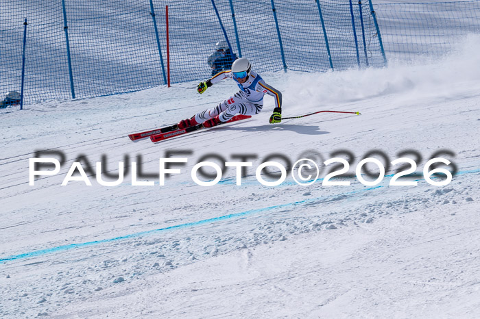 NC DH Training Damen + Herren Axamer Lizum 24.03.2026