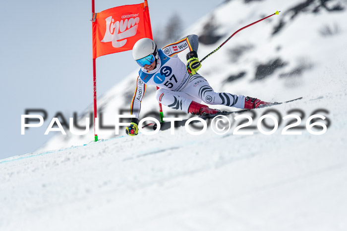 NC DH Training Damen + Herren Axamer Lizum 24.03.2026