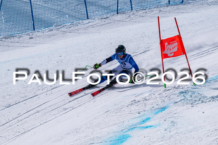 NC DH Training Damen + Herren Axamer Lizum 24.03.2026