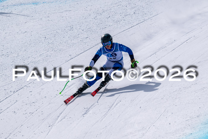 NC DH Training Damen + Herren Axamer Lizum 24.03.2026