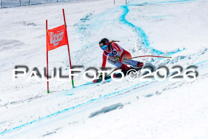 NC + NJC DH ,Frauen + Männer Axamer Lizum 25.03.2026
