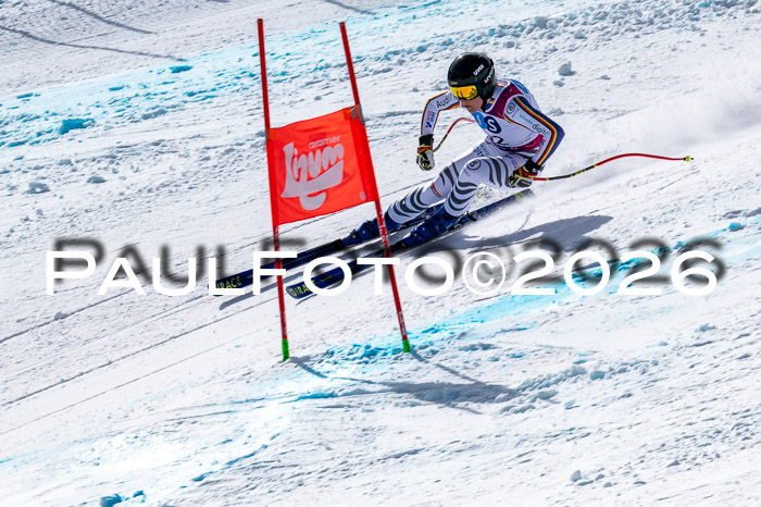 NC + NJC DH ,Frauen + Männer Axamer Lizum 25.03.2026