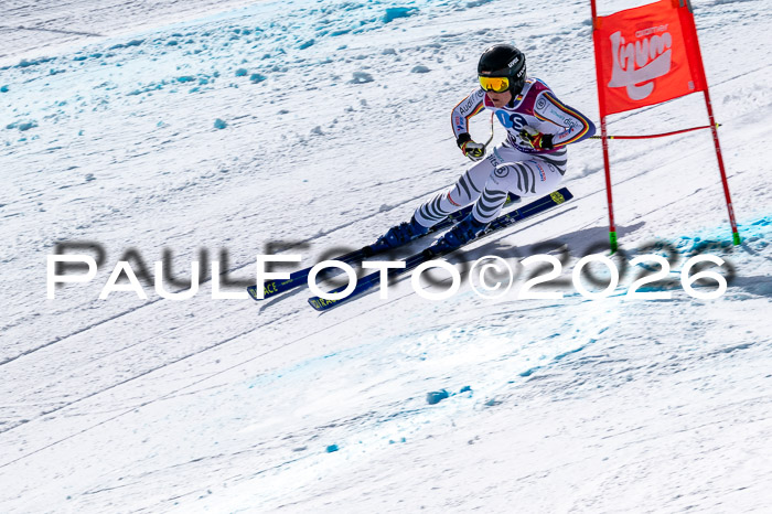 NC + NJC DH ,Frauen + Männer Axamer Lizum 25.03.2026