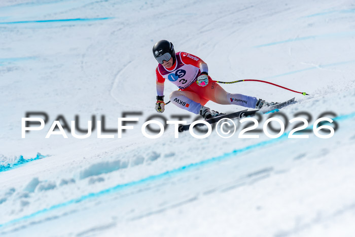 NC + NJC DH ,Frauen + Männer Axamer Lizum 25.03.2026