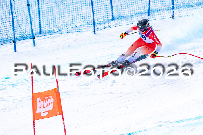 NC + NJC DH ,Frauen + Männer Axamer Lizum 25.03.2026