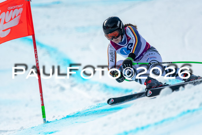 NC + NJC DH ,Frauen + Männer Axamer Lizum 25.03.2026