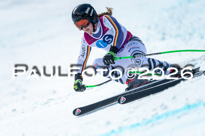 NC + NJC DH ,Frauen + Männer Axamer Lizum 25.03.2026