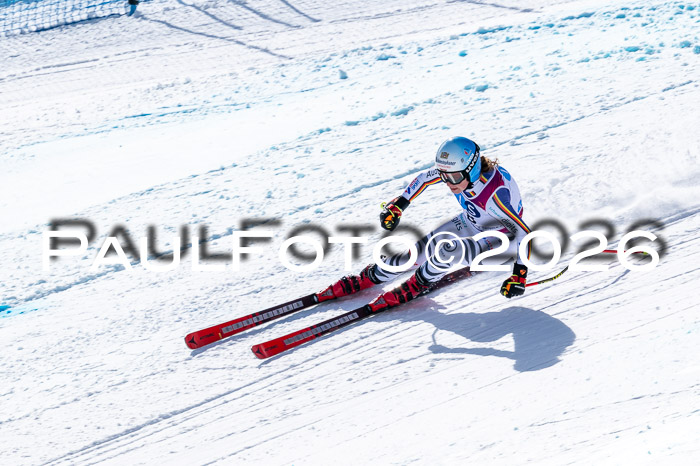 NC + NJC DH ,Frauen + Männer Axamer Lizum 25.03.2026