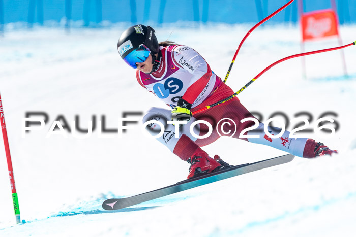 NC + NJC DH ,Frauen + Männer Axamer Lizum 25.03.2026