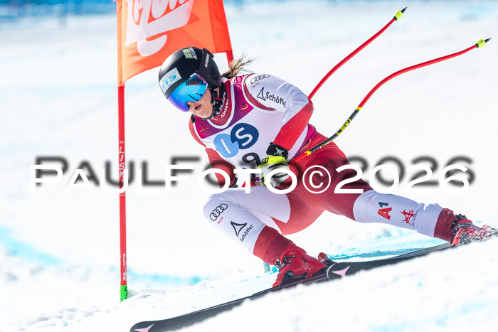 NC + NJC DH ,Frauen + Männer Axamer Lizum 25.03.2026