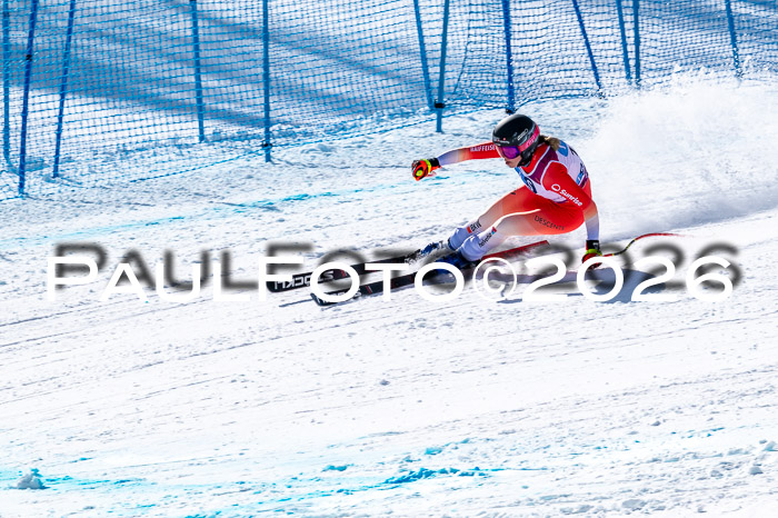 NC + NJC DH ,Frauen + Männer Axamer Lizum 25.03.2026