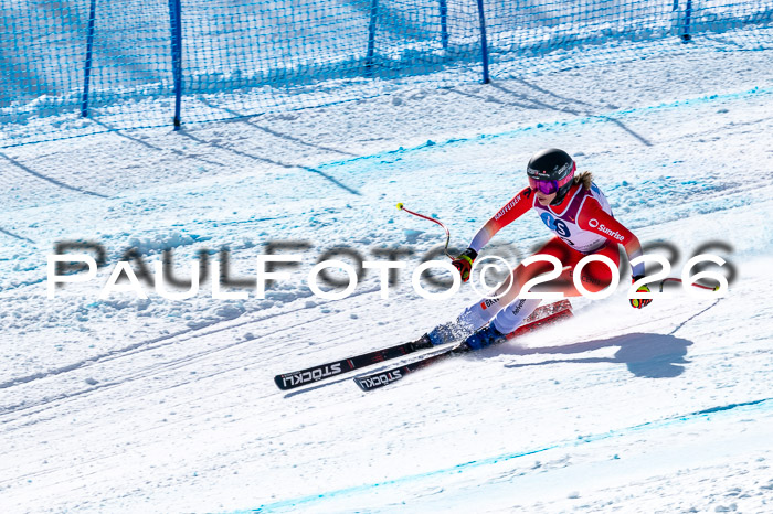 NC + NJC DH ,Frauen + Männer Axamer Lizum 25.03.2026