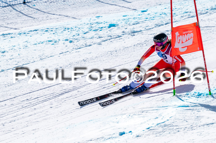 NC + NJC DH ,Frauen + Männer Axamer Lizum 25.03.2026