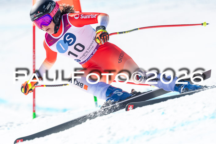 NC + NJC DH ,Frauen + Männer Axamer Lizum 25.03.2026