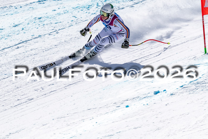 NC + NJC DH ,Frauen + Männer Axamer Lizum 25.03.2026