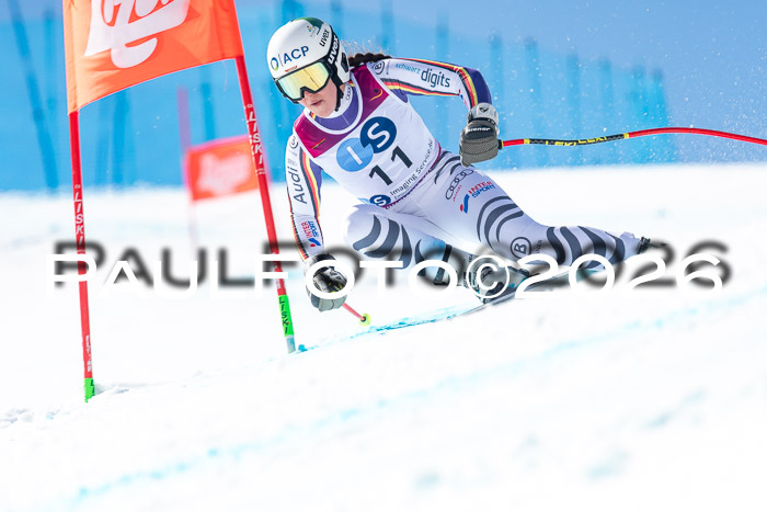 NC + NJC DH ,Frauen + Männer Axamer Lizum 25.03.2026