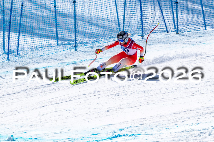 NC + NJC DH ,Frauen + Männer Axamer Lizum 25.03.2026