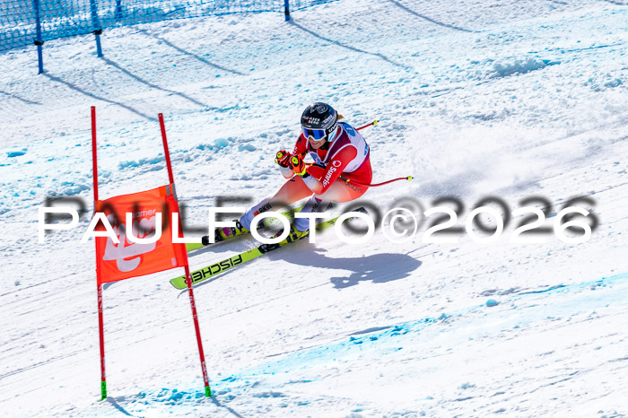 NC + NJC DH ,Frauen + Männer Axamer Lizum 25.03.2026