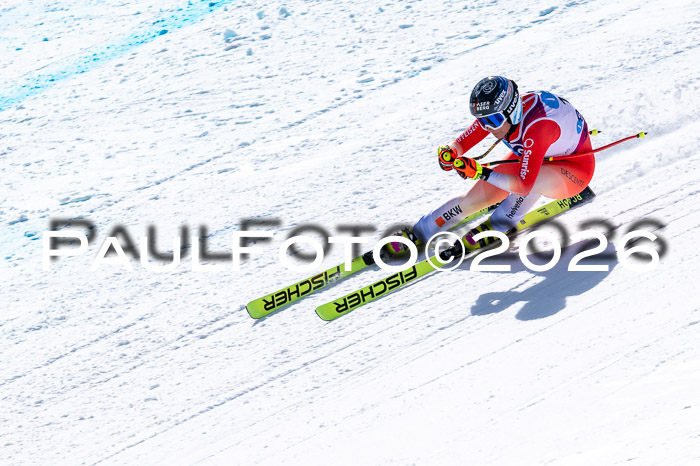 NC + NJC DH ,Frauen + Männer Axamer Lizum 25.03.2026