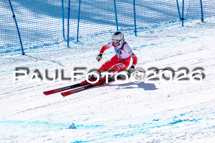 NC + NJC DH ,Frauen + Männer Axamer Lizum 25.03.2026