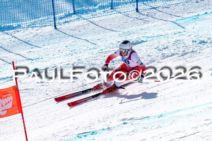 NC + NJC DH ,Frauen + Männer Axamer Lizum 25.03.2026